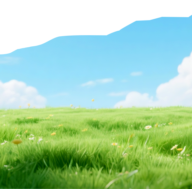 拉松报名须 拉松报名须