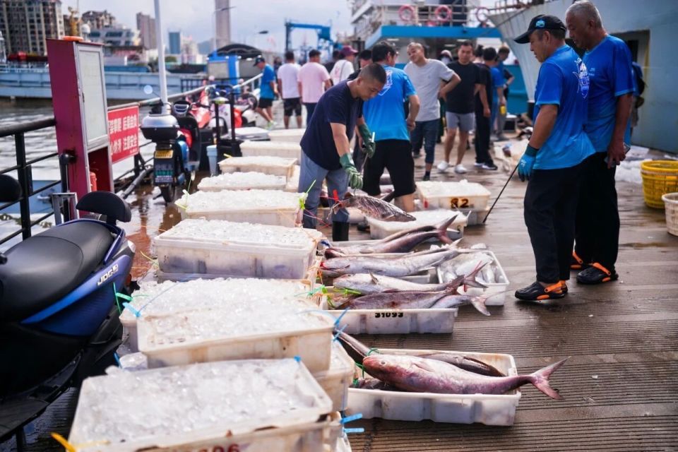海钓运营中