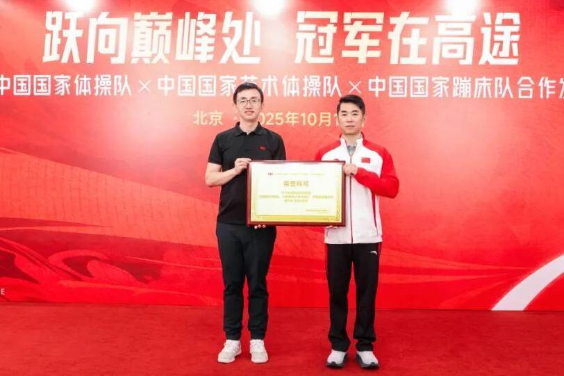 泳队, 带来专业支, 成熟的 泳队, 带来专业支, 成熟的